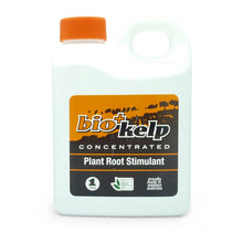 Load image into Gallery viewer, 60 Litre Compost Tea Brewer