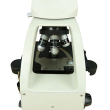 Load image into Gallery viewer, BM2000 Professional Trinocular Microscope